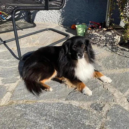 Schlafen Unterm Dach In Ch Bed & Breakfast *