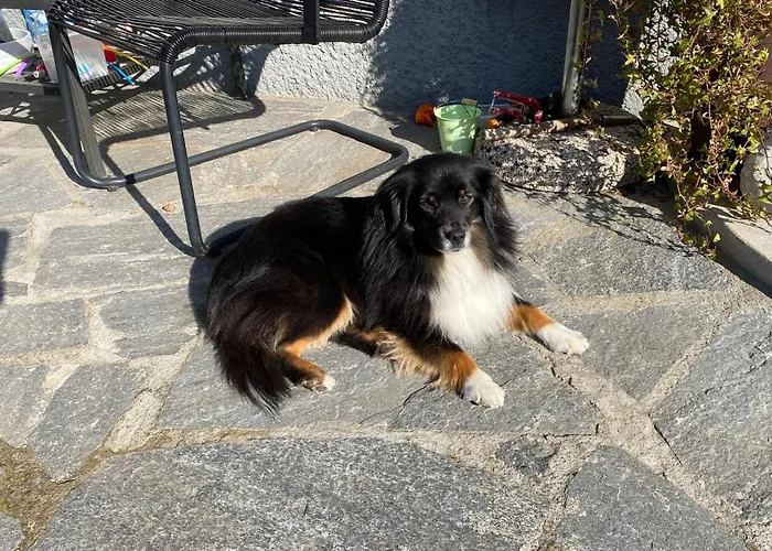 Schlafen Unterm Dach In Ch Bed & Breakfast *