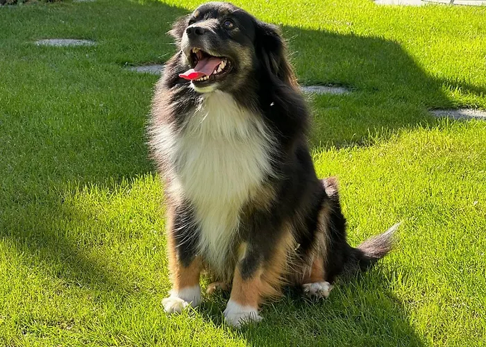 Schlafen Unterm Dach In Ch Bed & Breakfast